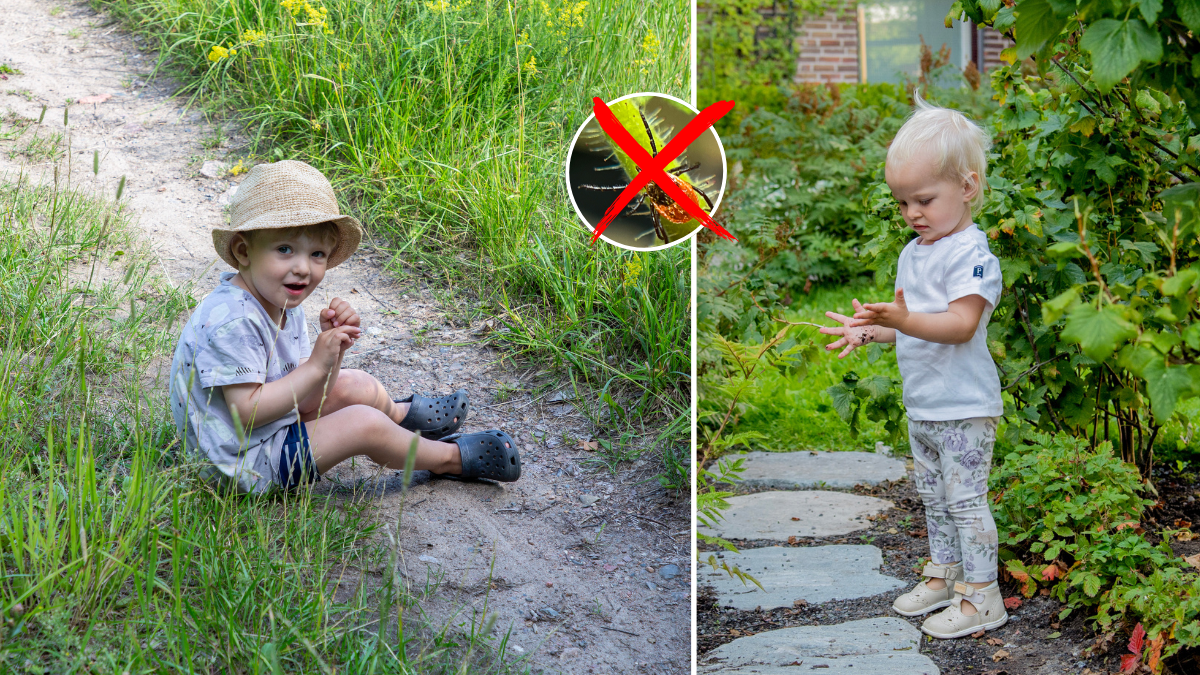 Så skyddar du dig mot fästingar