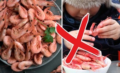 Bild till artikeln Gör aldrig det här misstaget med dina räkor – kan bli så fel