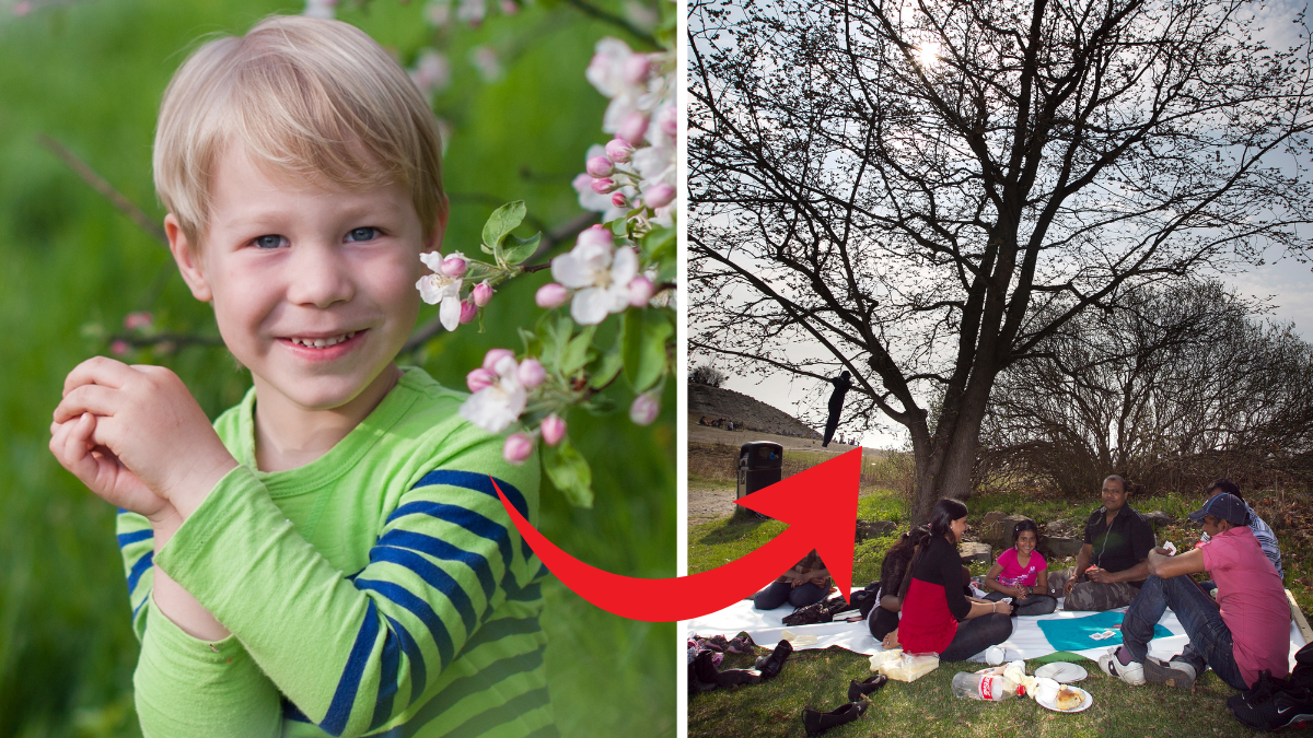 Roliga aktiviteter med barnen i vår. 